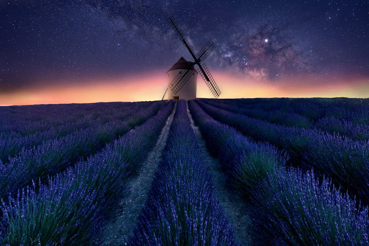 acrylic-print-lavender-night-x
