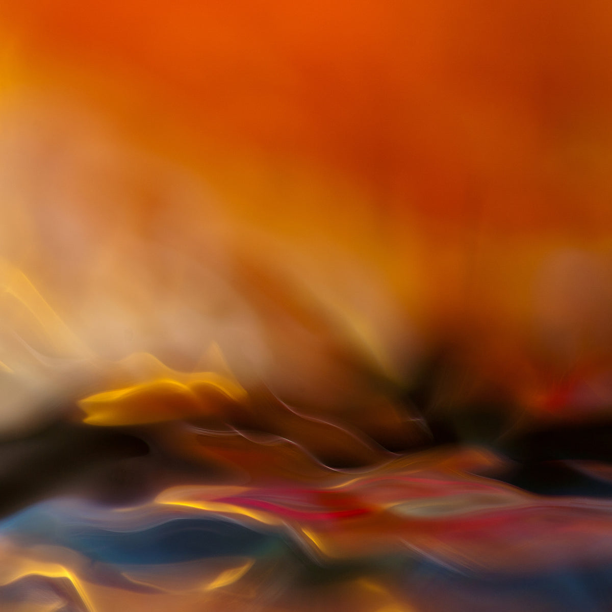 acrylic-print-red-fantasy