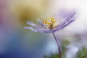modern-3-piece-canvas-print-springtime-watercolor