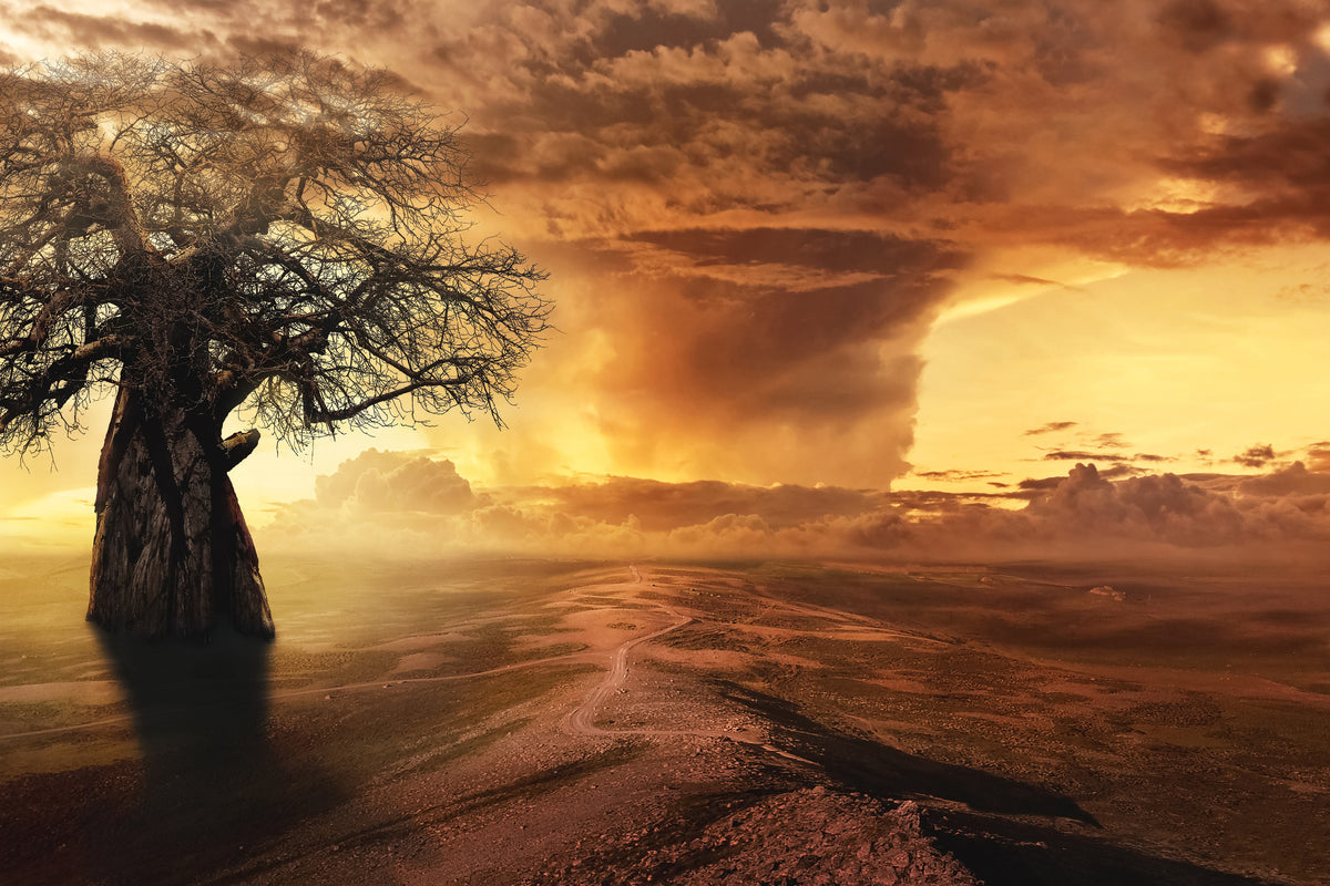 poster-print-cyclone-in-the-sunset