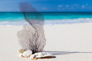 3-piece-canvas-print-beach-art