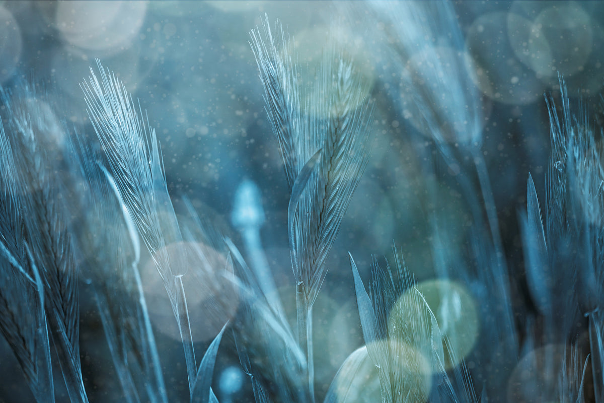 framedposter-print-fantastic-nature-x