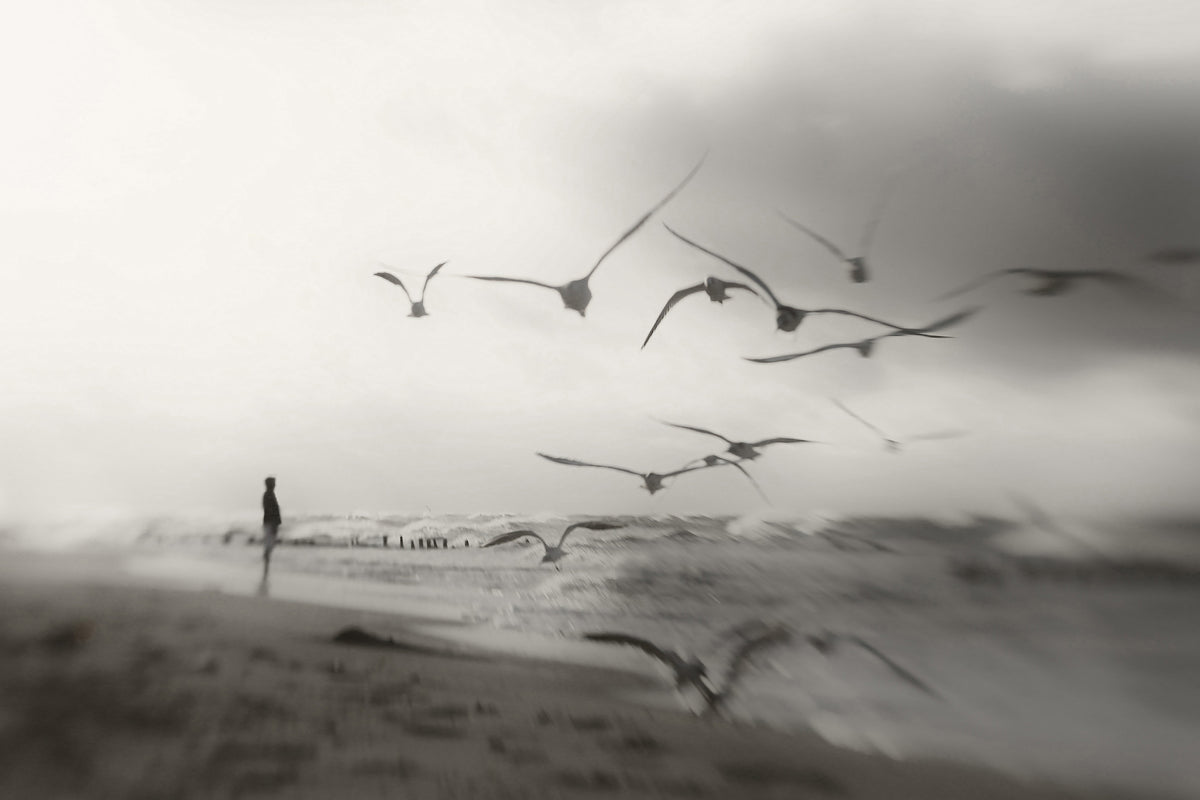 canvas-print-quiet-dreams-x