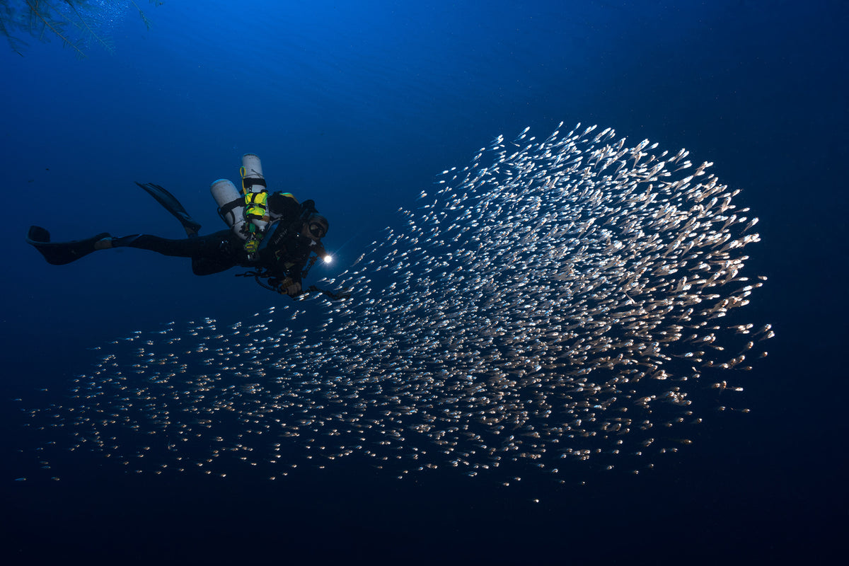 3-piece-aluminium-print-alvin-shoal