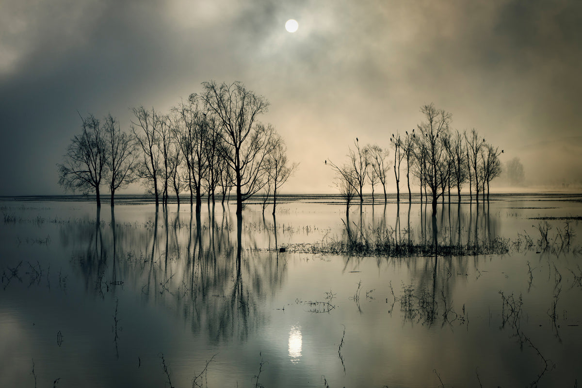 aluminium-print-lakes-secret