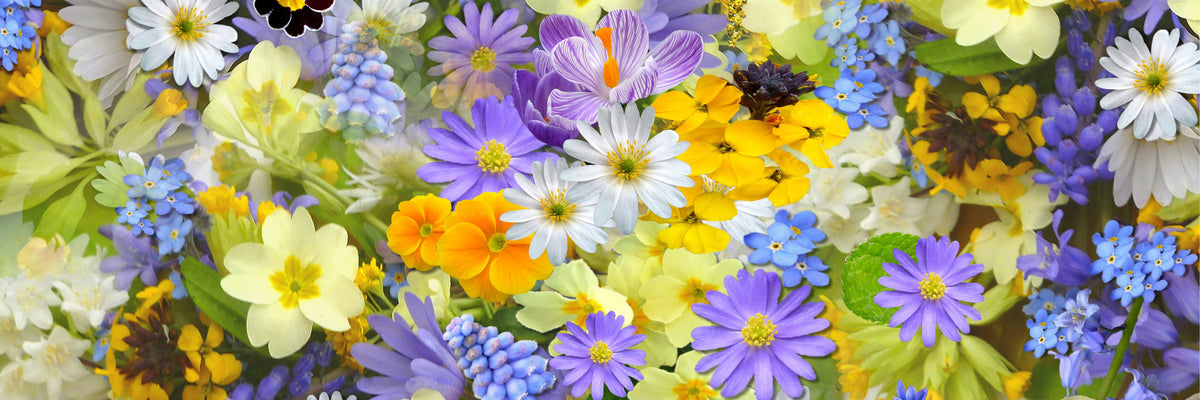 panoramic-aluminium-print-fresh-spring-flowers-panorama