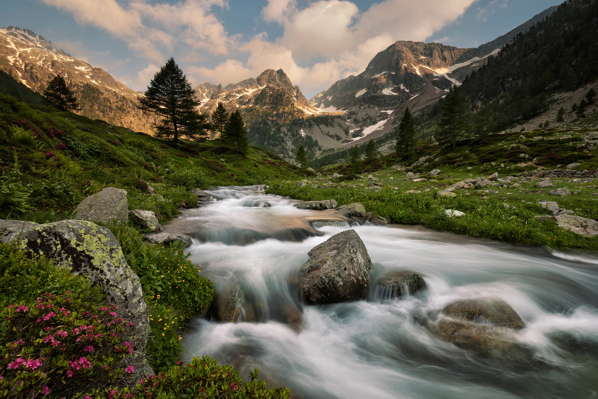 aluminium-print-maritime-alps-park-x