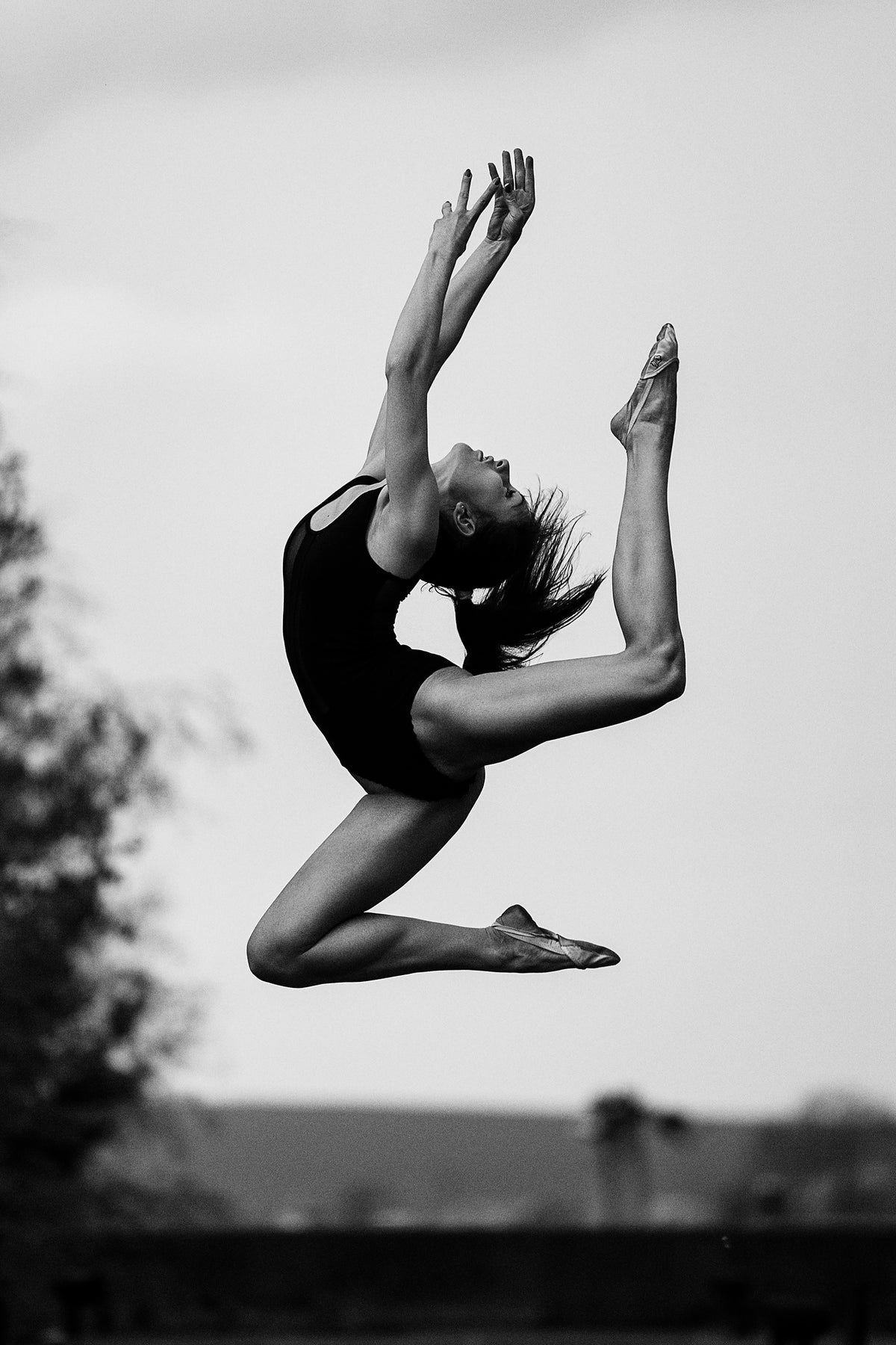 aluminium-print-dance-xsi