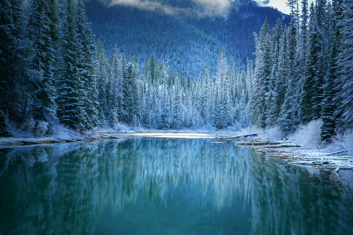 framedposter-print-wonder-winter-land-x