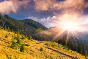 modern-3-piece-aluminium-print-beginning-of-autumn