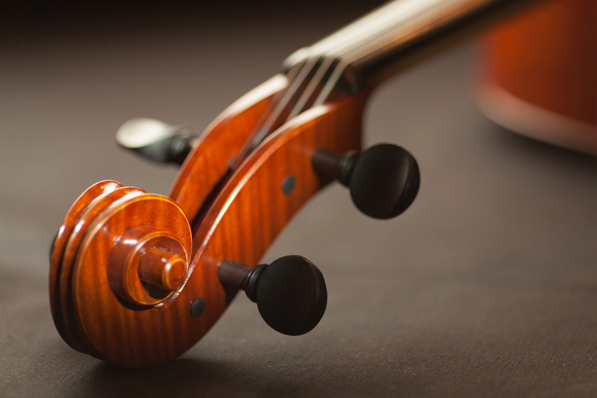 canvas-print-close-up-violin