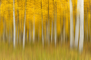 acrylic-print-autumn-dream-ii
