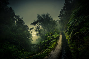 aluminium-print-levada-walk-x