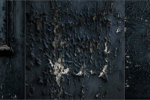 framedposter-print-decrepit