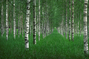 modern-3-piece-canvas-print-the-tunnel