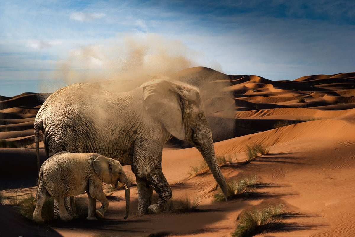 poster-print-elephants-in-the-desert