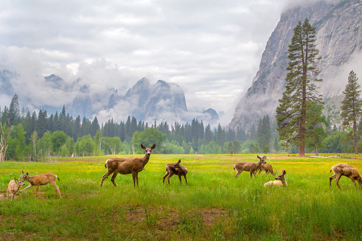 3-piece-acrylic-print-a-feeling-of-ancient-time