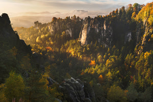 modern-3-piece-aluminium-print-forest-whispers