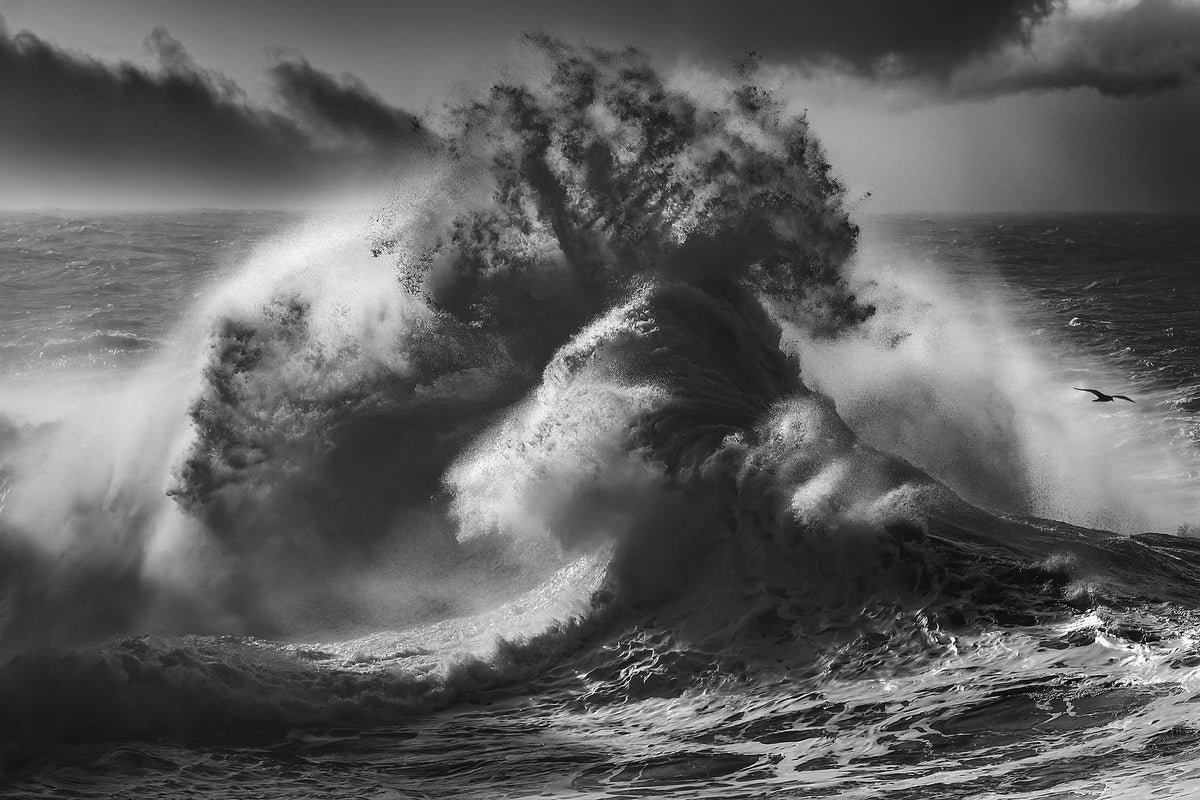 acrylic-print-poseidon-majesty-part-4-x