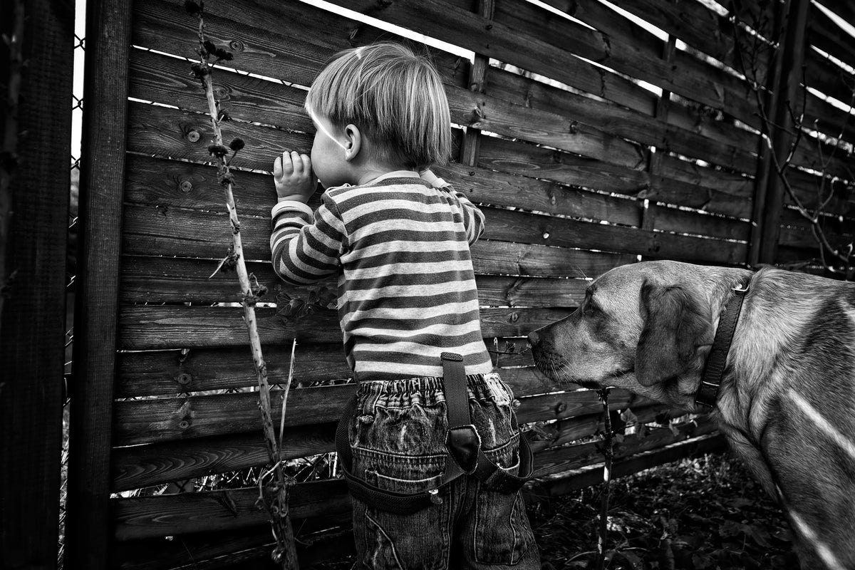 aluminium-print-the-world-from-behind-the-fence-x