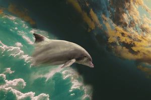 3-piece-canvas-print-fascination-dolphin