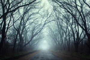 poster-print-cloud-forest