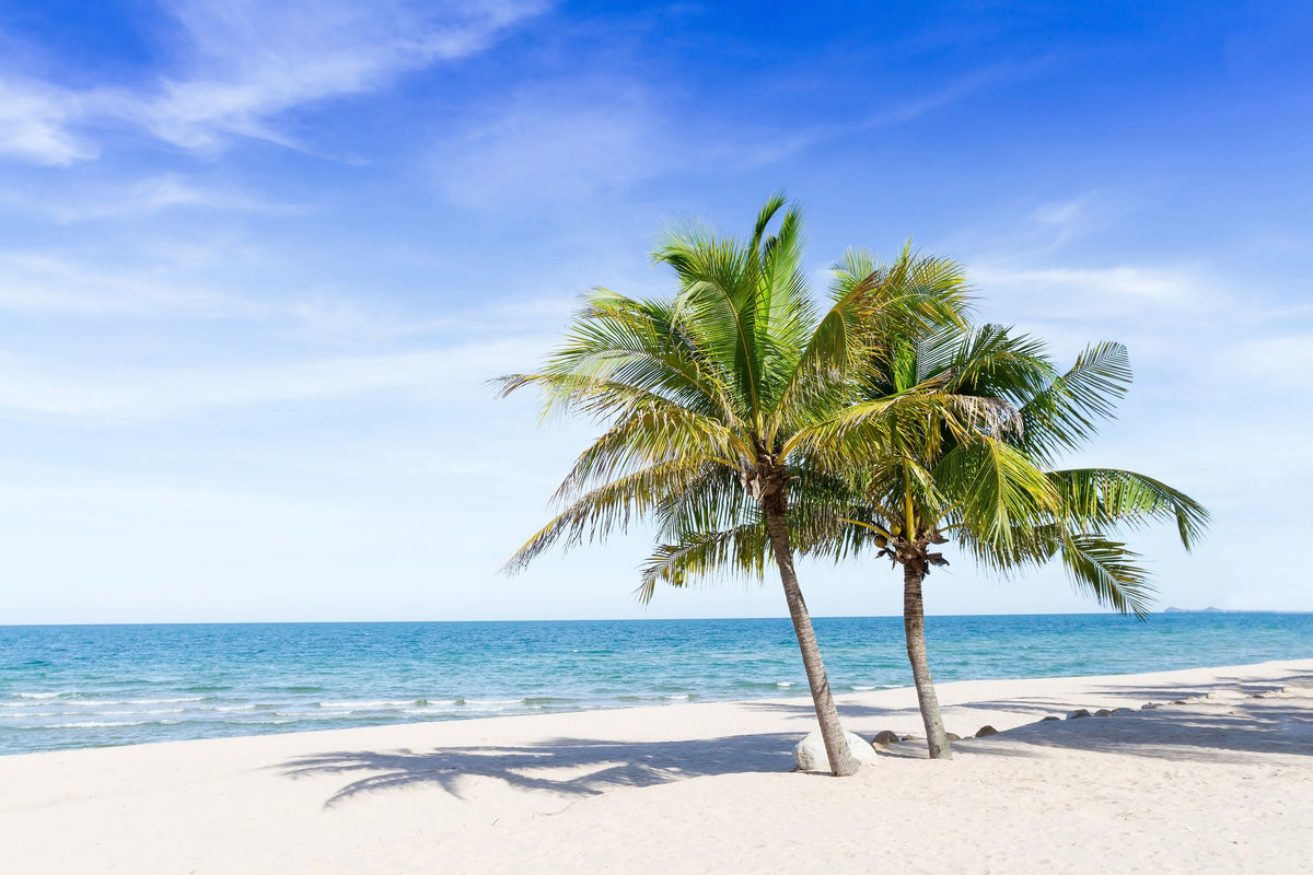 framedposter-print-thailand-dream-beach