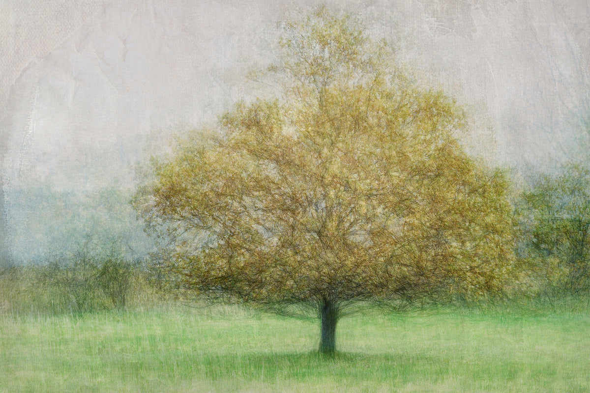 canvas-print-solitaire-x