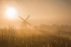 acrylic-print-golden-dawn-x