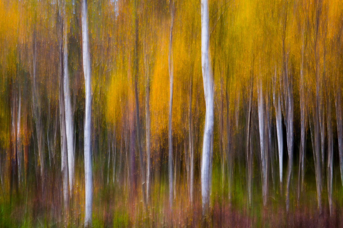 canvas-print-abstract-fall