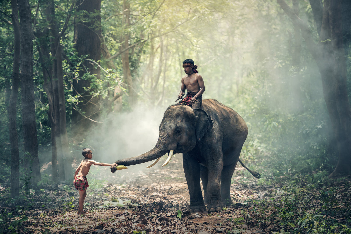 framedposter-print-the-elephant-at-work