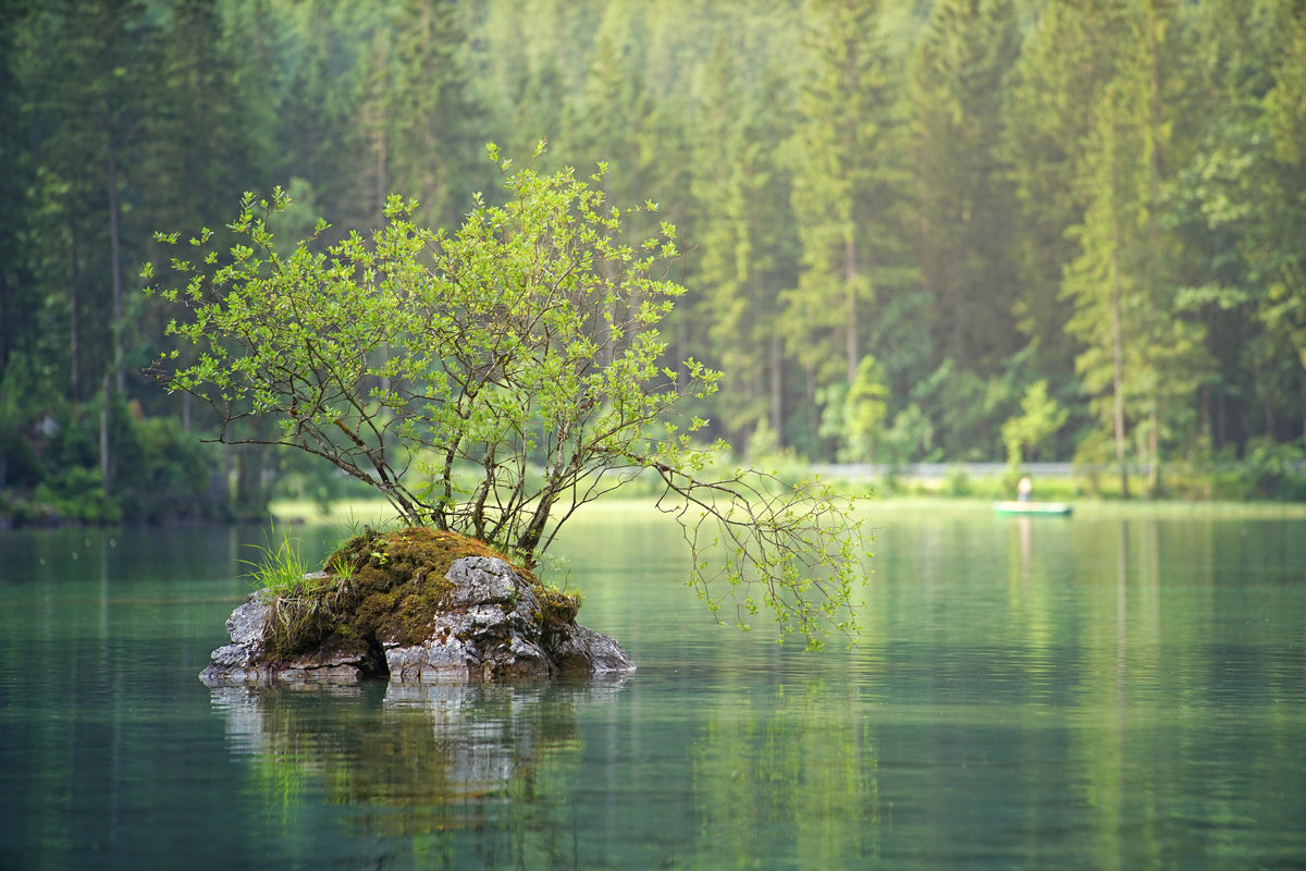 framedcanvas-print-the-pond-in-the-forest