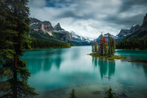 framedposter-print-spirit-island-x