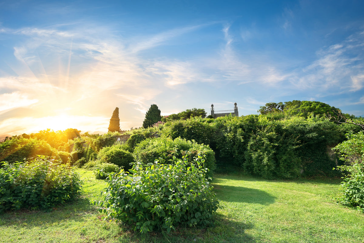 modern-3-piece-aluminium-print-sunrise-in-the-park