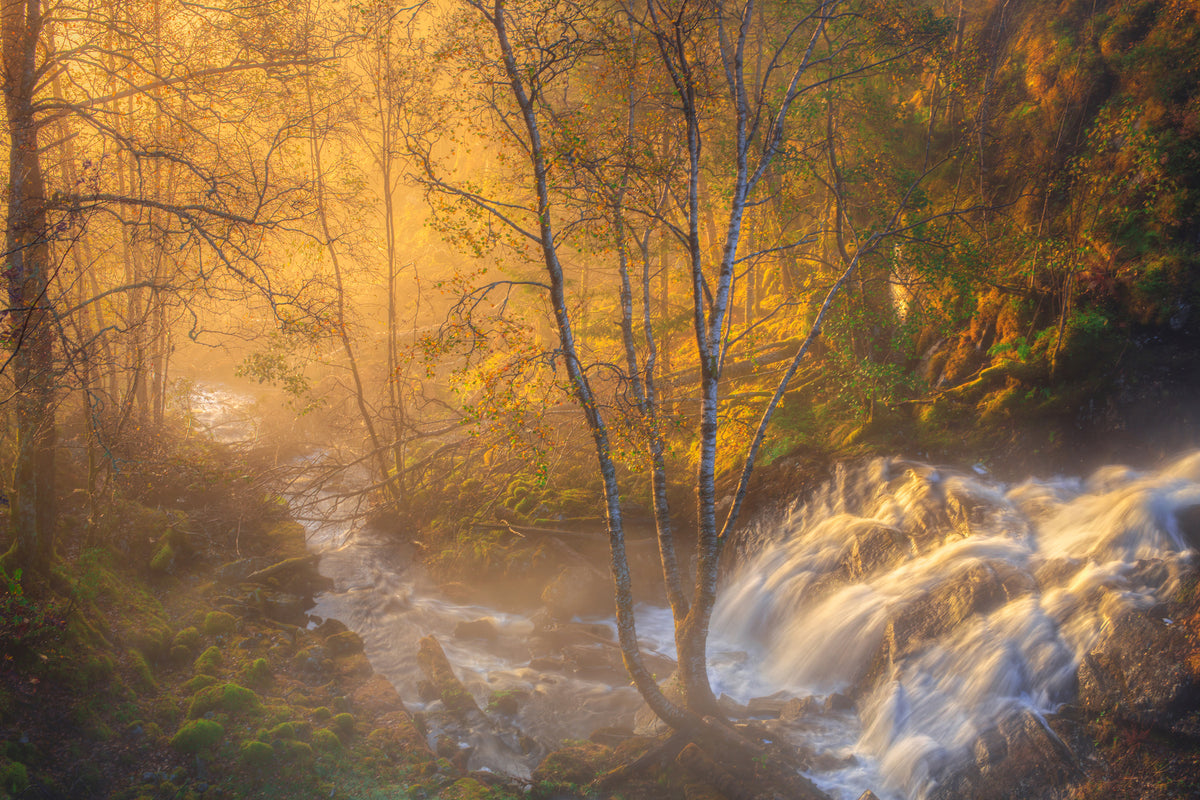 aluminium-print-first-light-xah