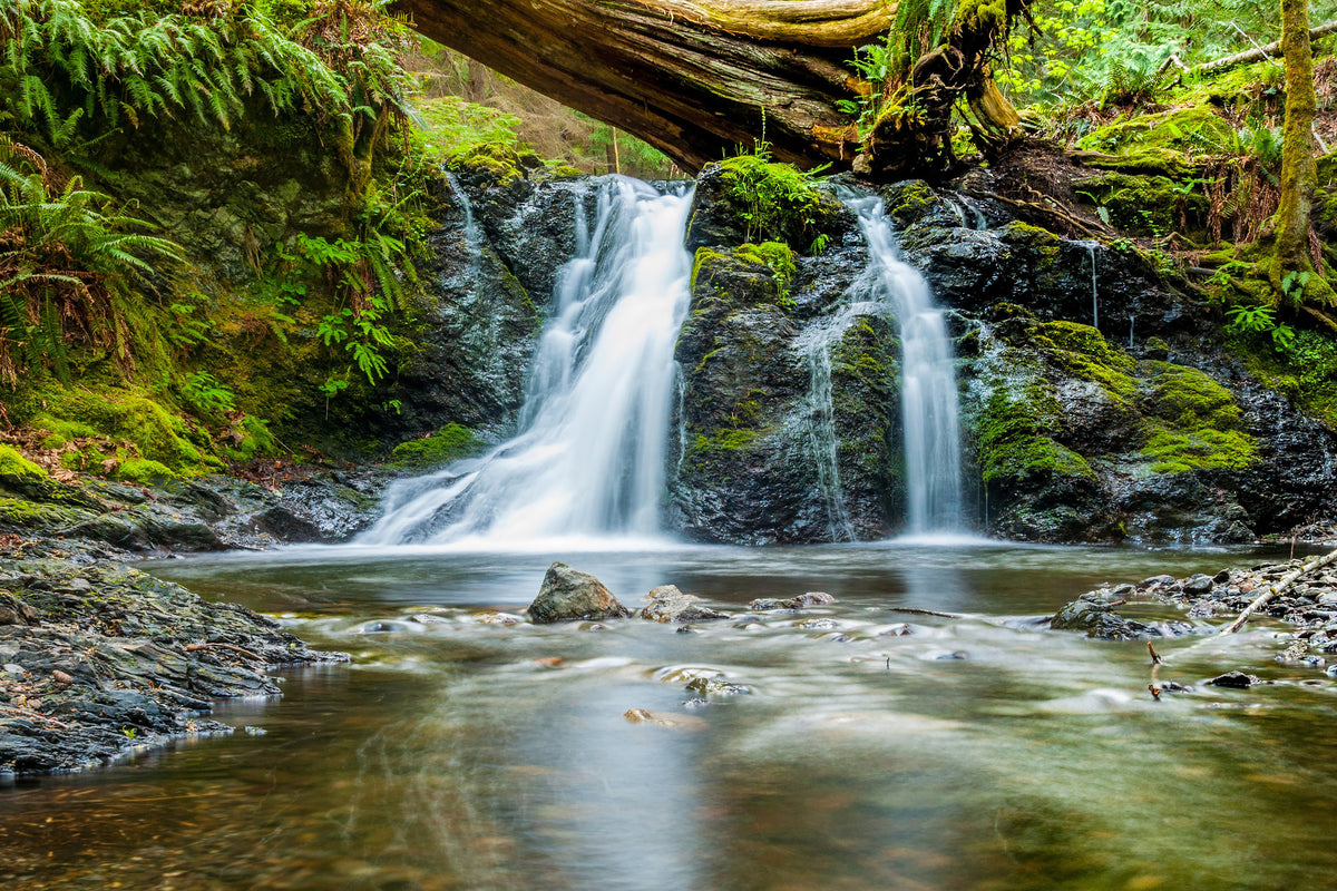 framedcanvas-print-the-ways-of-the-water