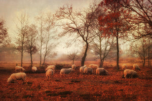 modern-3-piece-acrylic-print-last-days-of-autumn