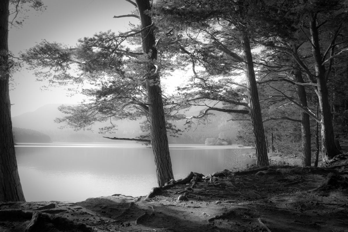 framedposter-print-loch-an-eilein
