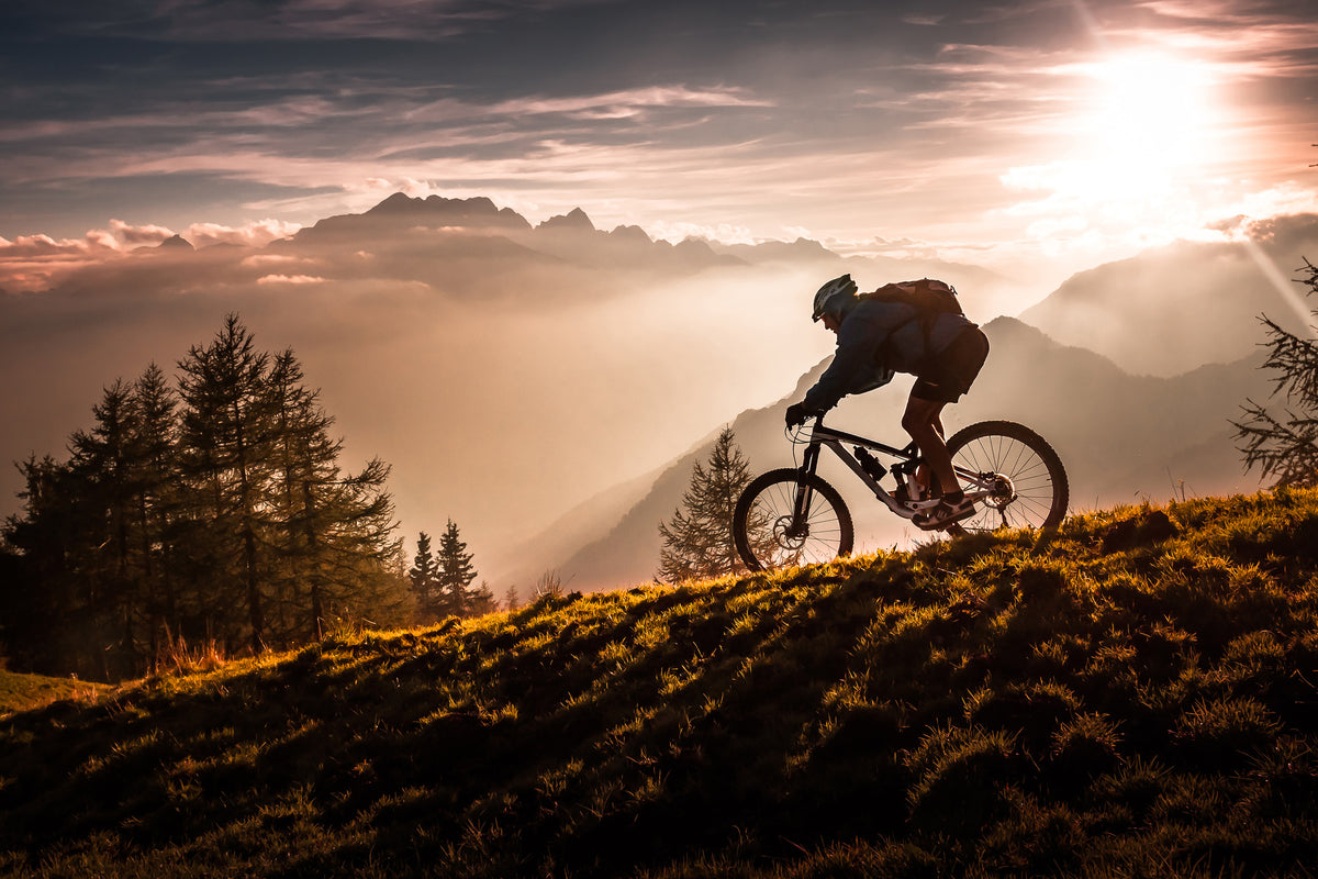 aluminium-print-golden-hour-biking-x