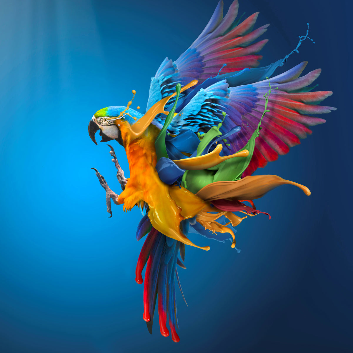 canvas-print-flying-colours