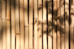 framedposter-print-natural-bamboo