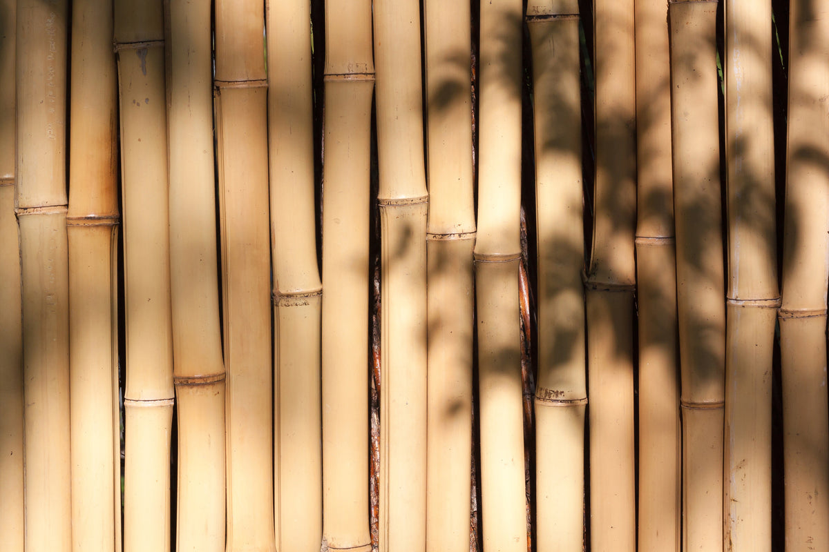 framedposter-print-natural-bamboo