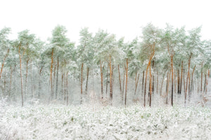 canvas-print-snow-world