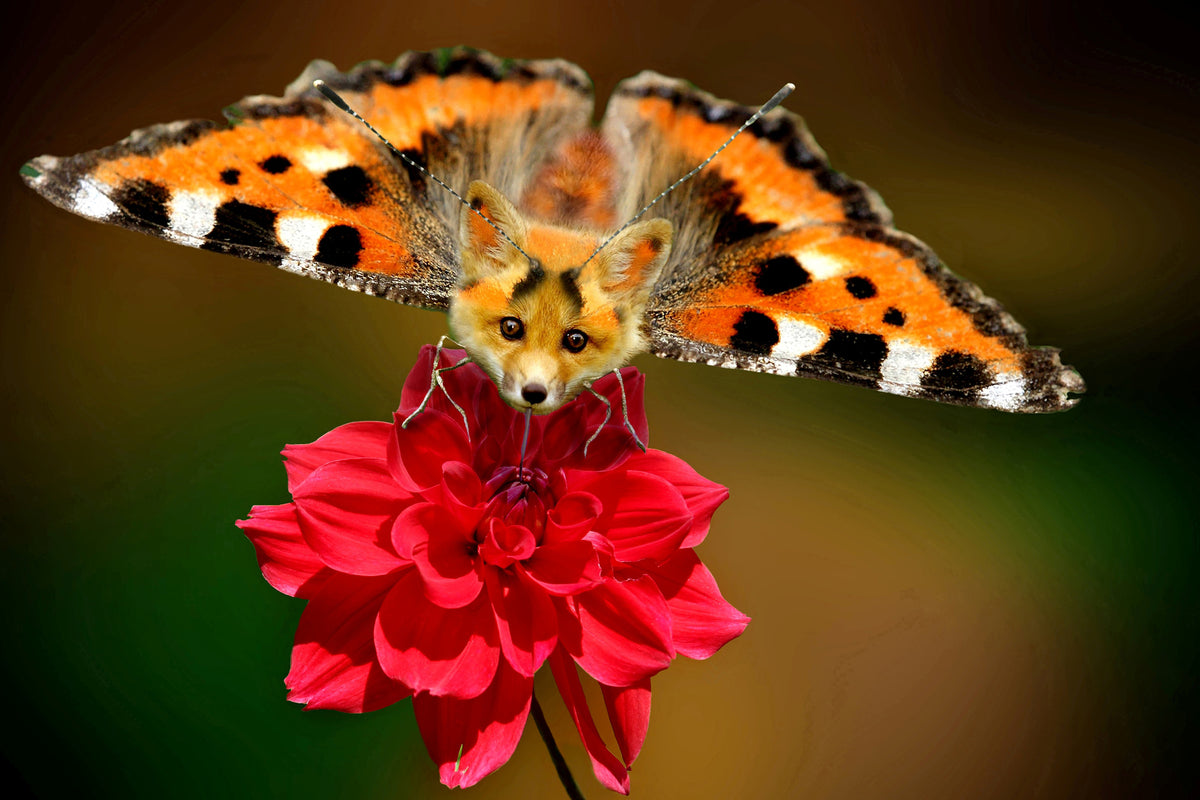 canvas-print-the-flying-fox