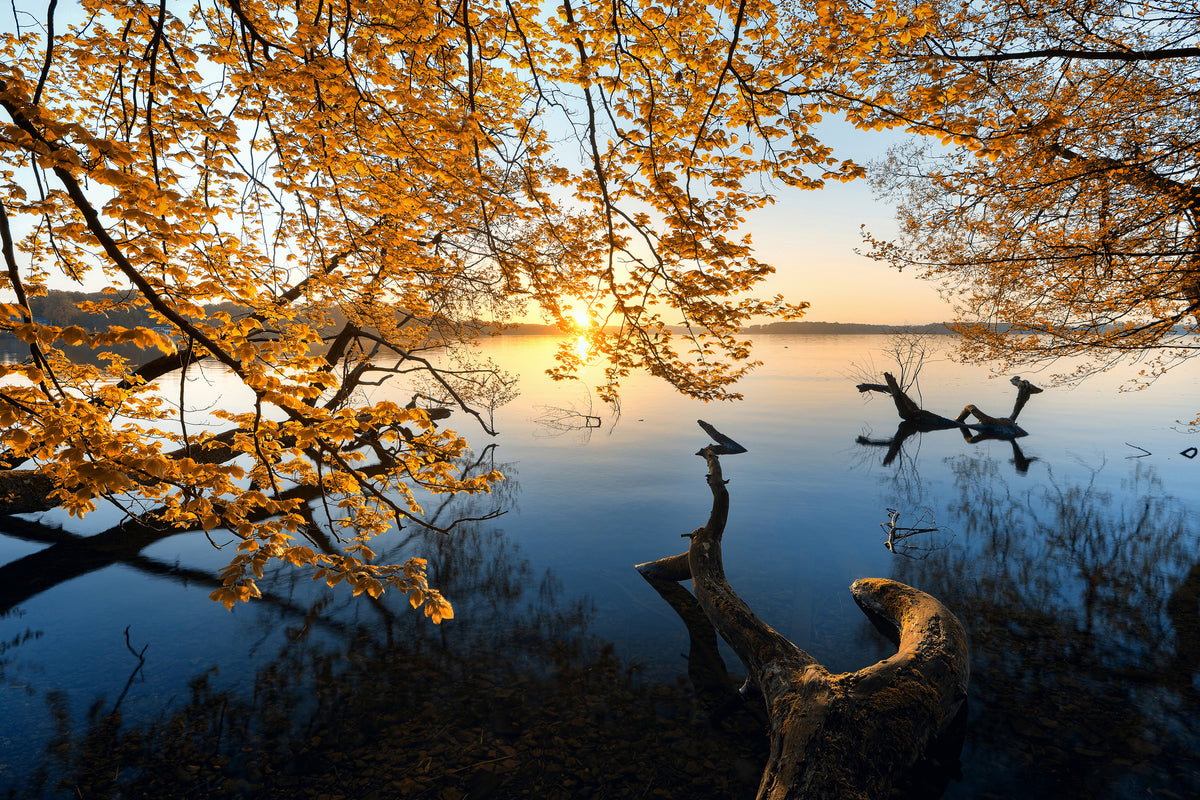 poster-print-autumn-morning-xoq