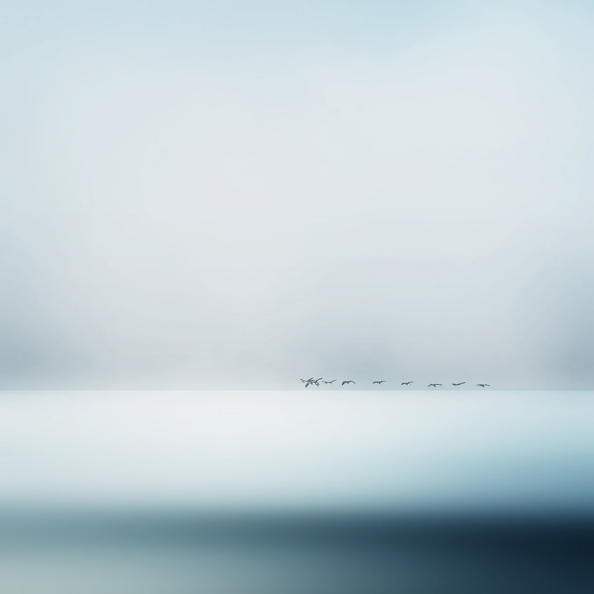 aluminium-print-wild-geese