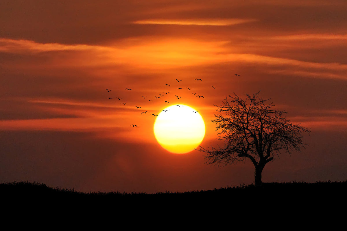 canvas-print-the-sunset-on-the-horizon