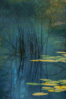 canvas-print-aqua