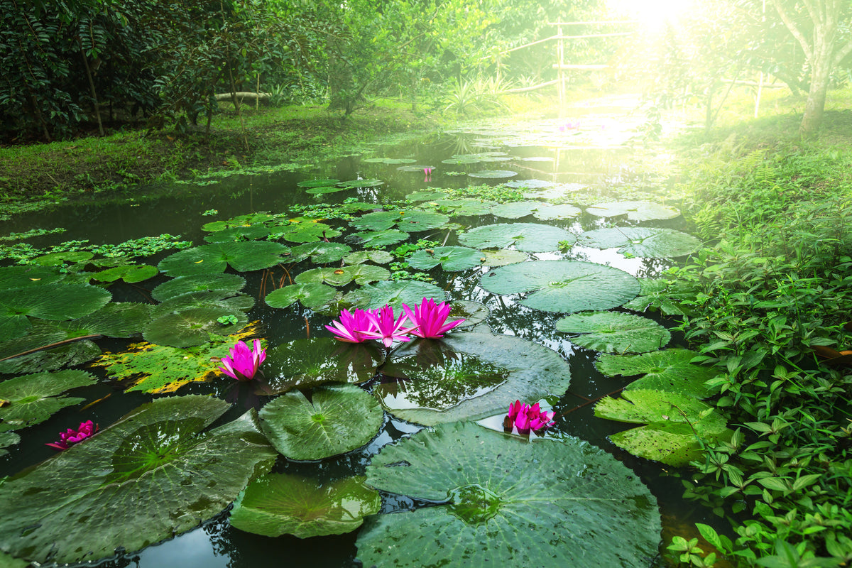 modern-3-piece-acrylic-print-garden-pond