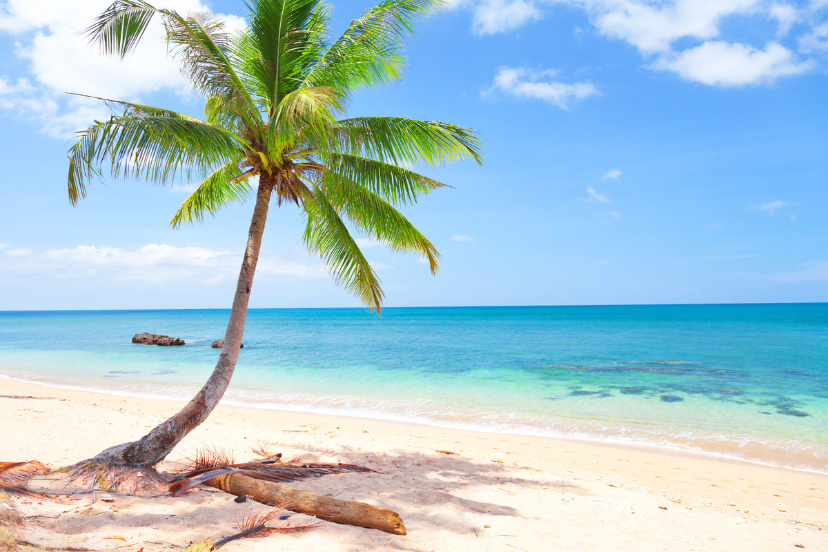 framedposter-print-the-own-island